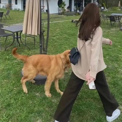 臭头小子